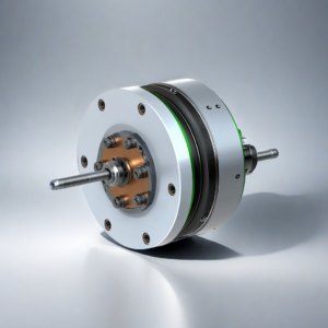 Brushless DC Motor