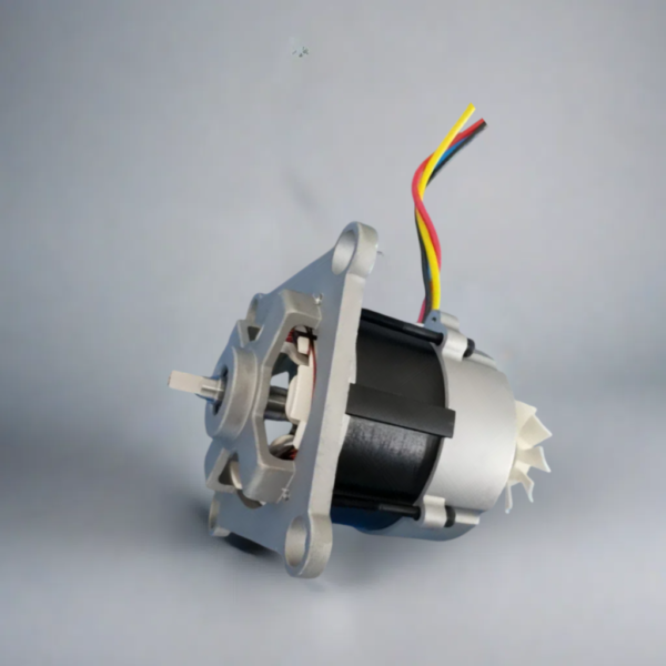 Brushless DC Motor